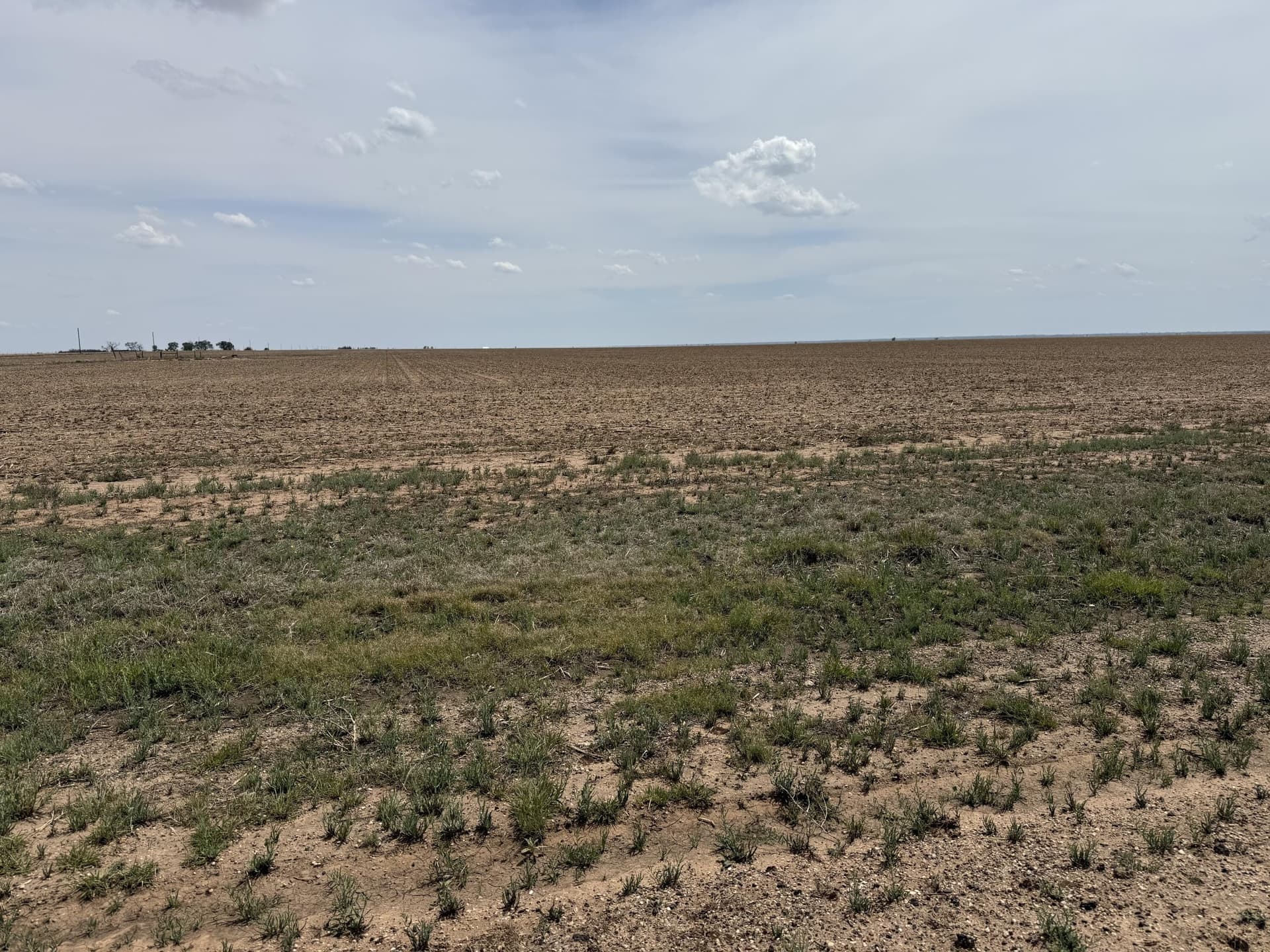 265.65 acres in Lamb County gallery image 4