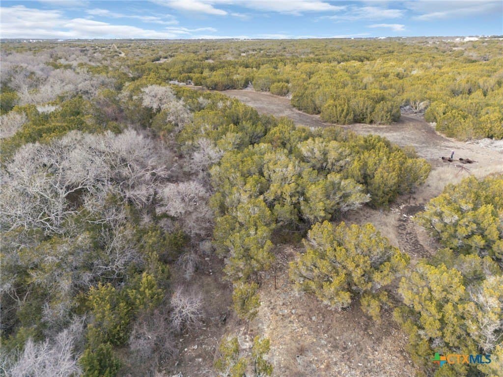 42.07 acres in Burnet County - photo 17