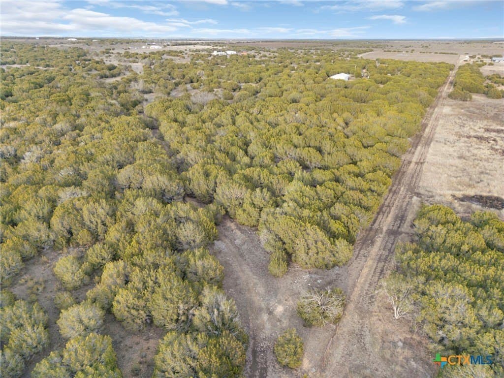 42.07 acres in Burnet County - photo 10