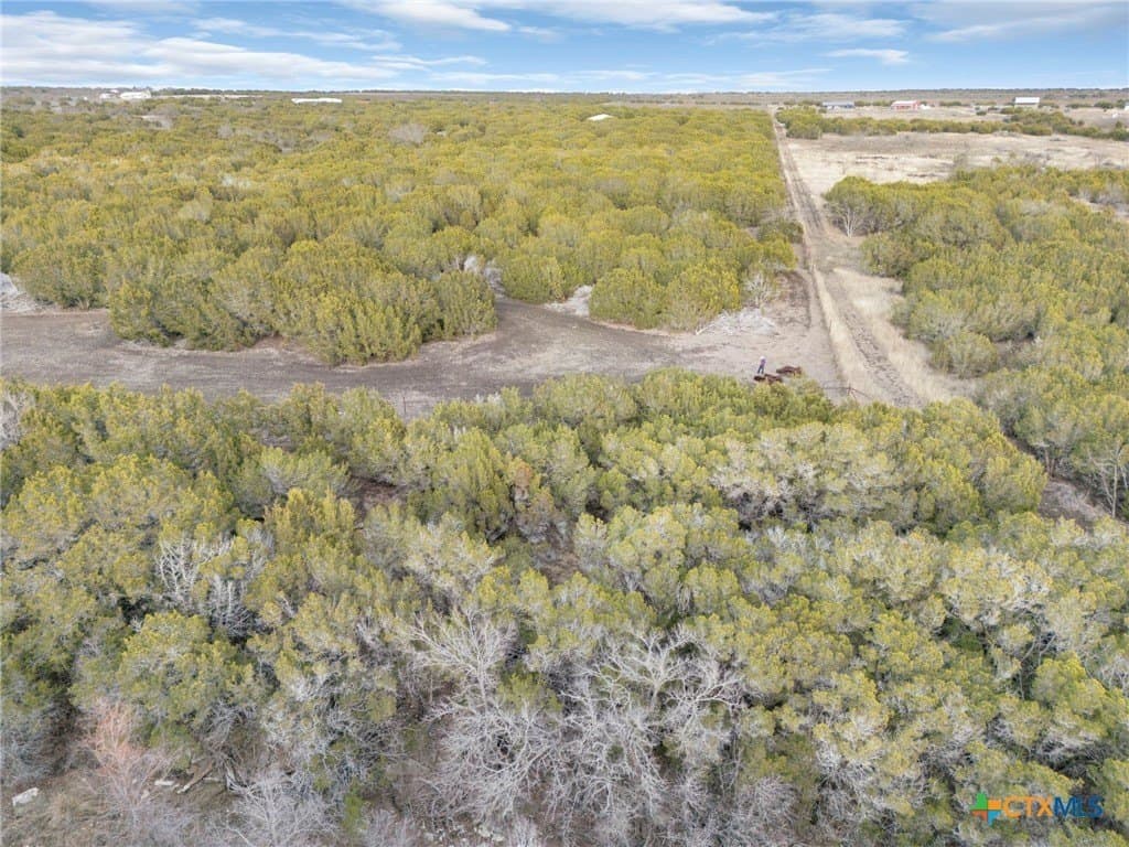 42.07 acres in Burnet County - photo 16