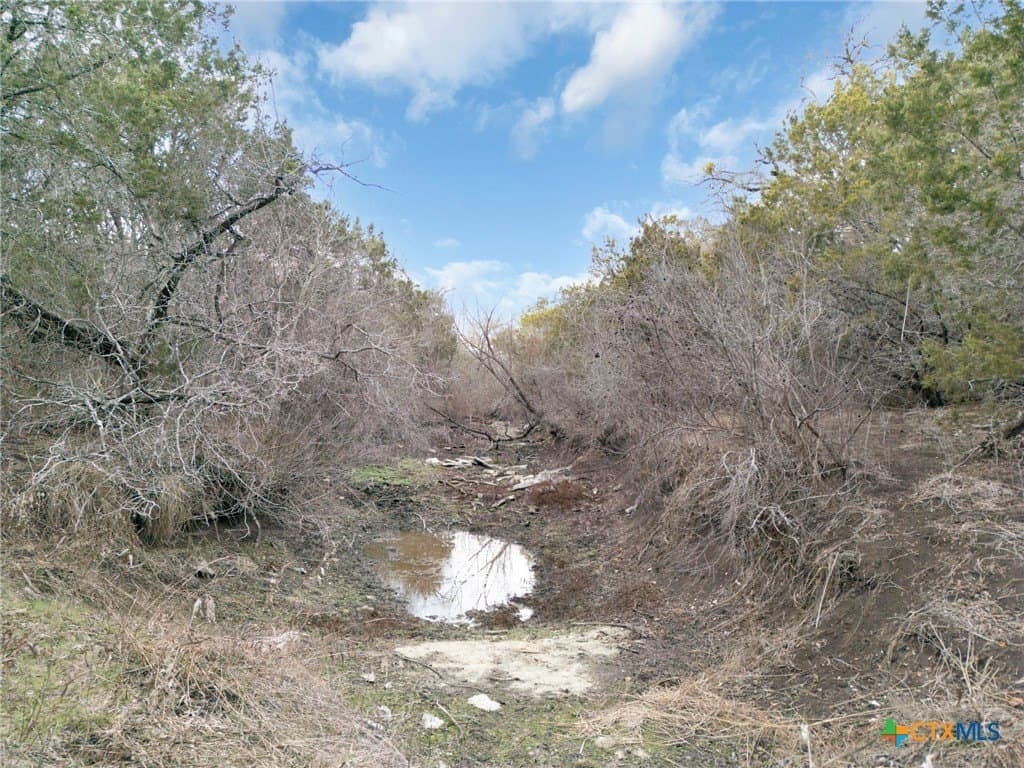 42.07 acres in Burnet County - photo 13