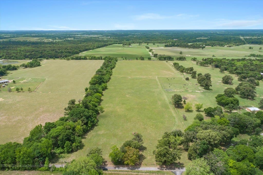 20 acres in Van Zandt County gallery image 3