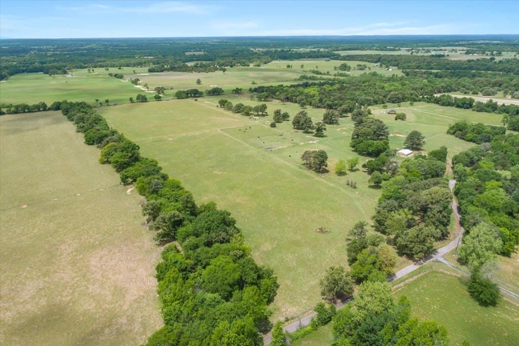 20 acres in Van Zandt County gallery image 4