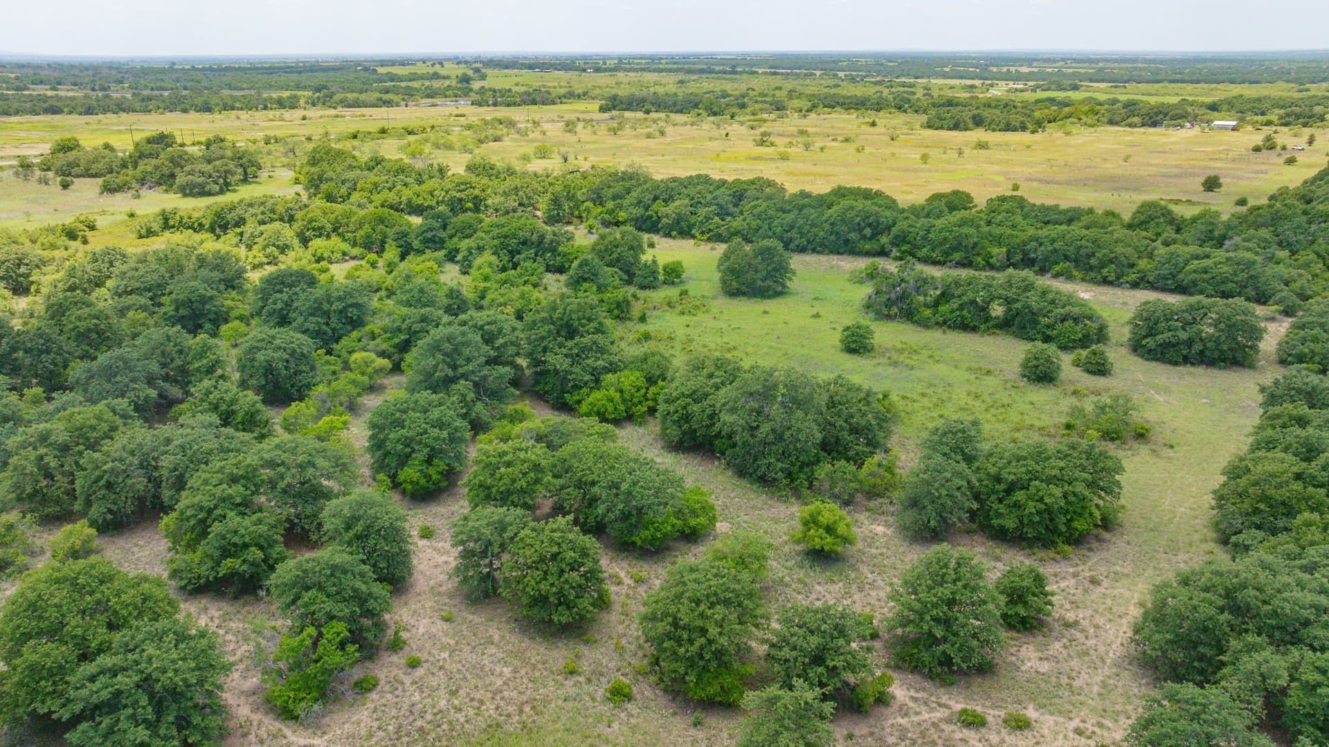 80 acres in Eastland County - photo 15