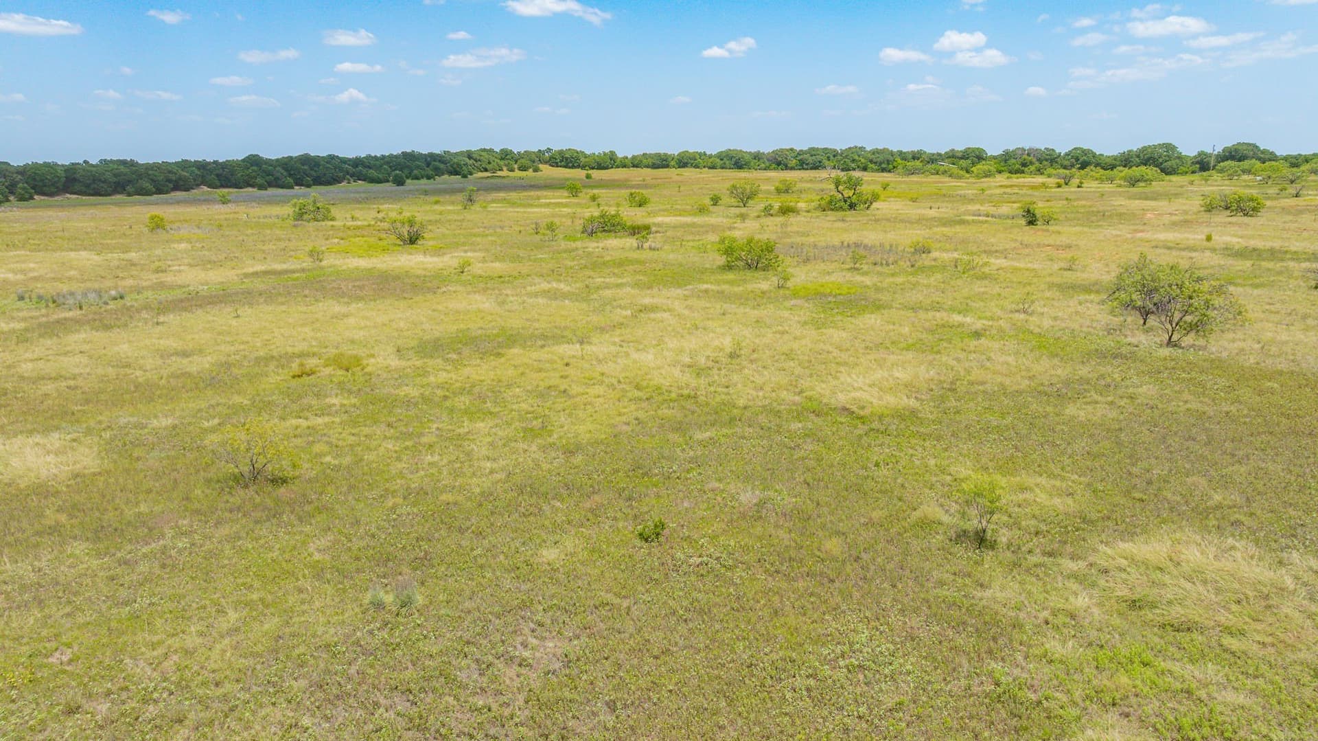 80 acres in Eastland County - photo 24