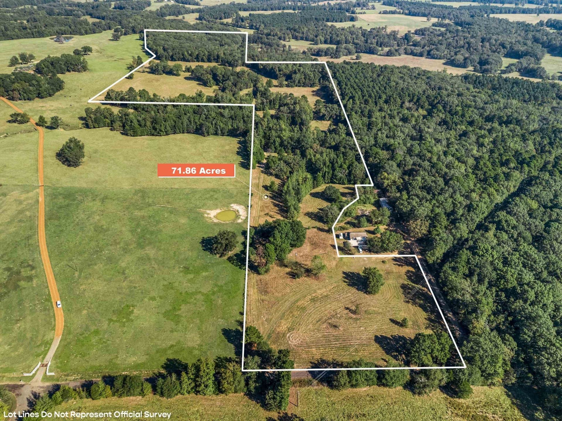 71.86 acres in Upshur County gallery image 2