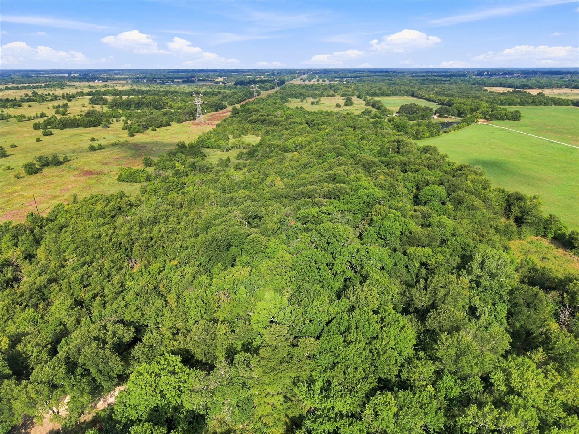 82.24 acres in Van Zandt County - photo 7
