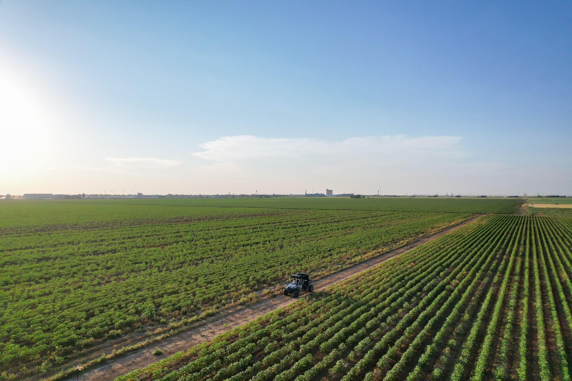 10.01 acres in Hale County gallery image 3