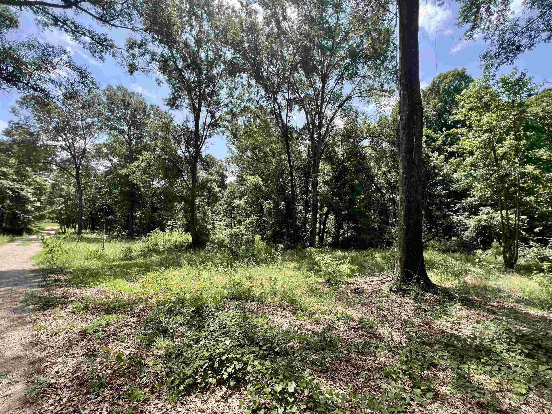 19.6 acres in Rusk County - photo 33