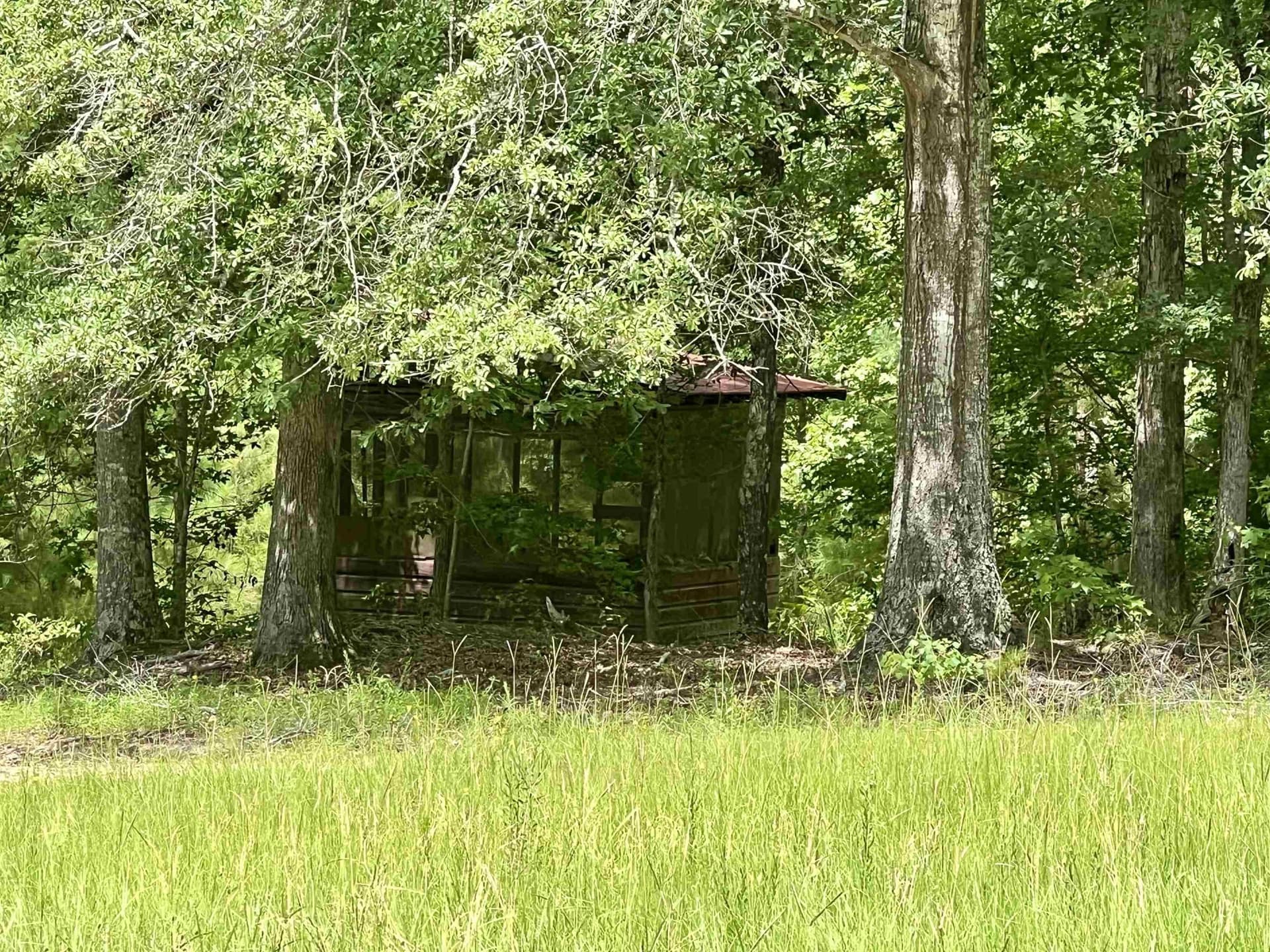 19.6 acres in Rusk County - photo 25
