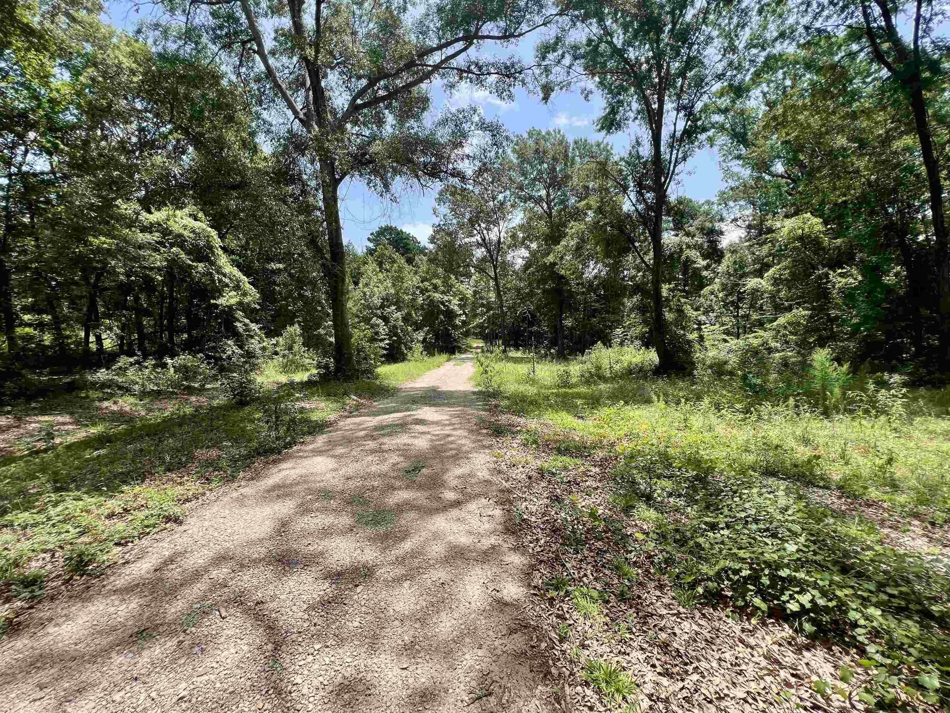 19.6 acres in Rusk County - photo 32