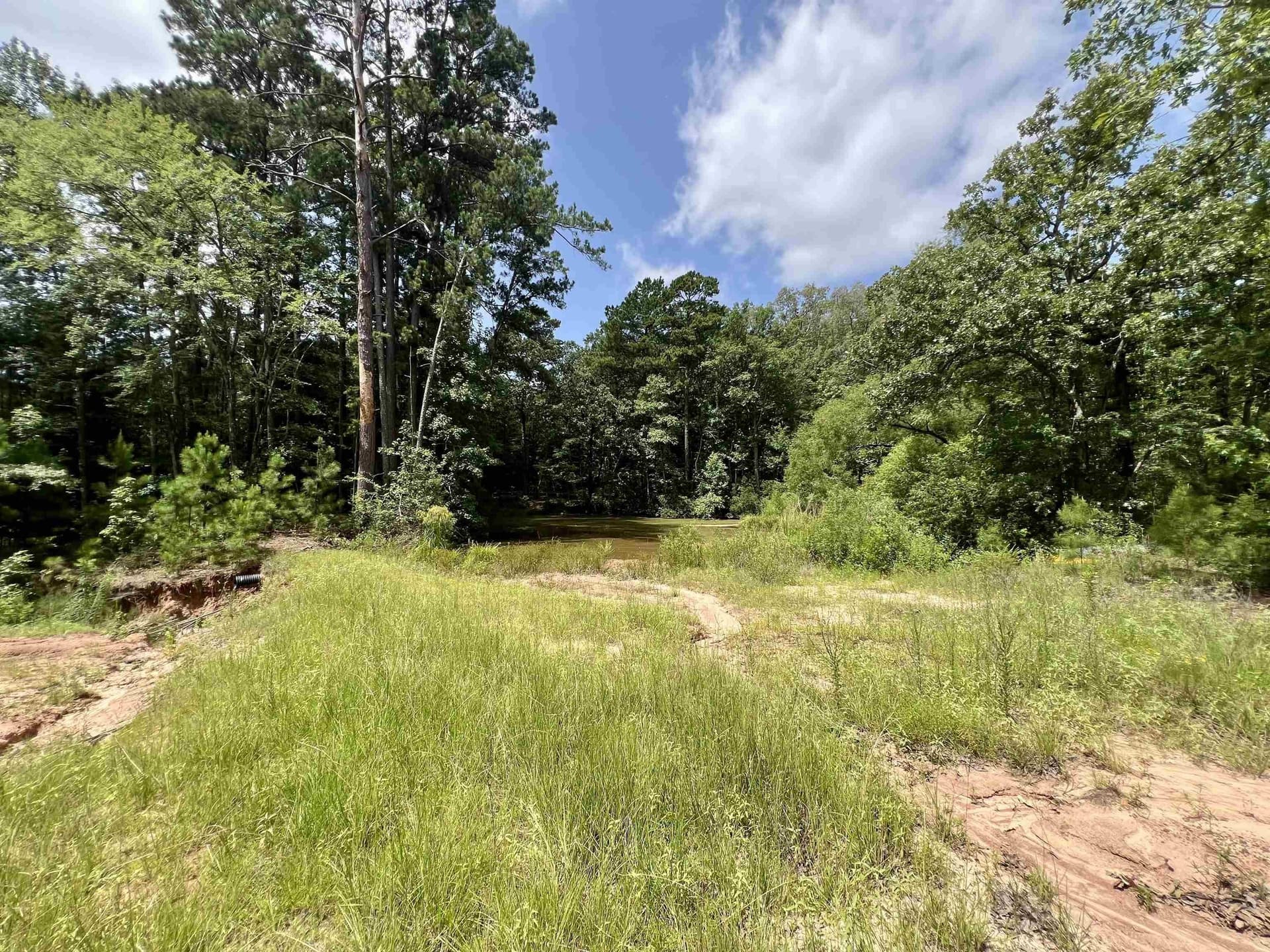 19.6 acres in Rusk County - photo 27