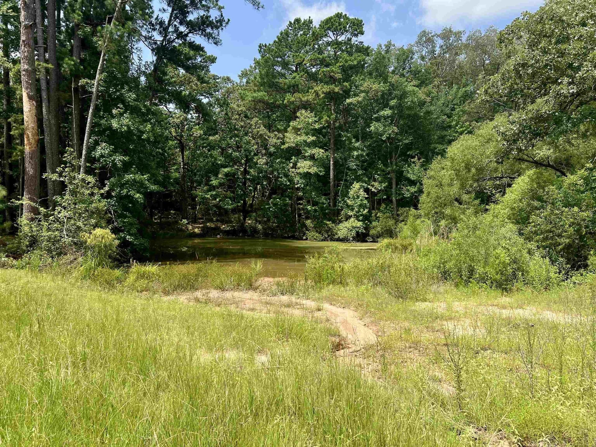 19.6 acres in Rusk County - photo 28