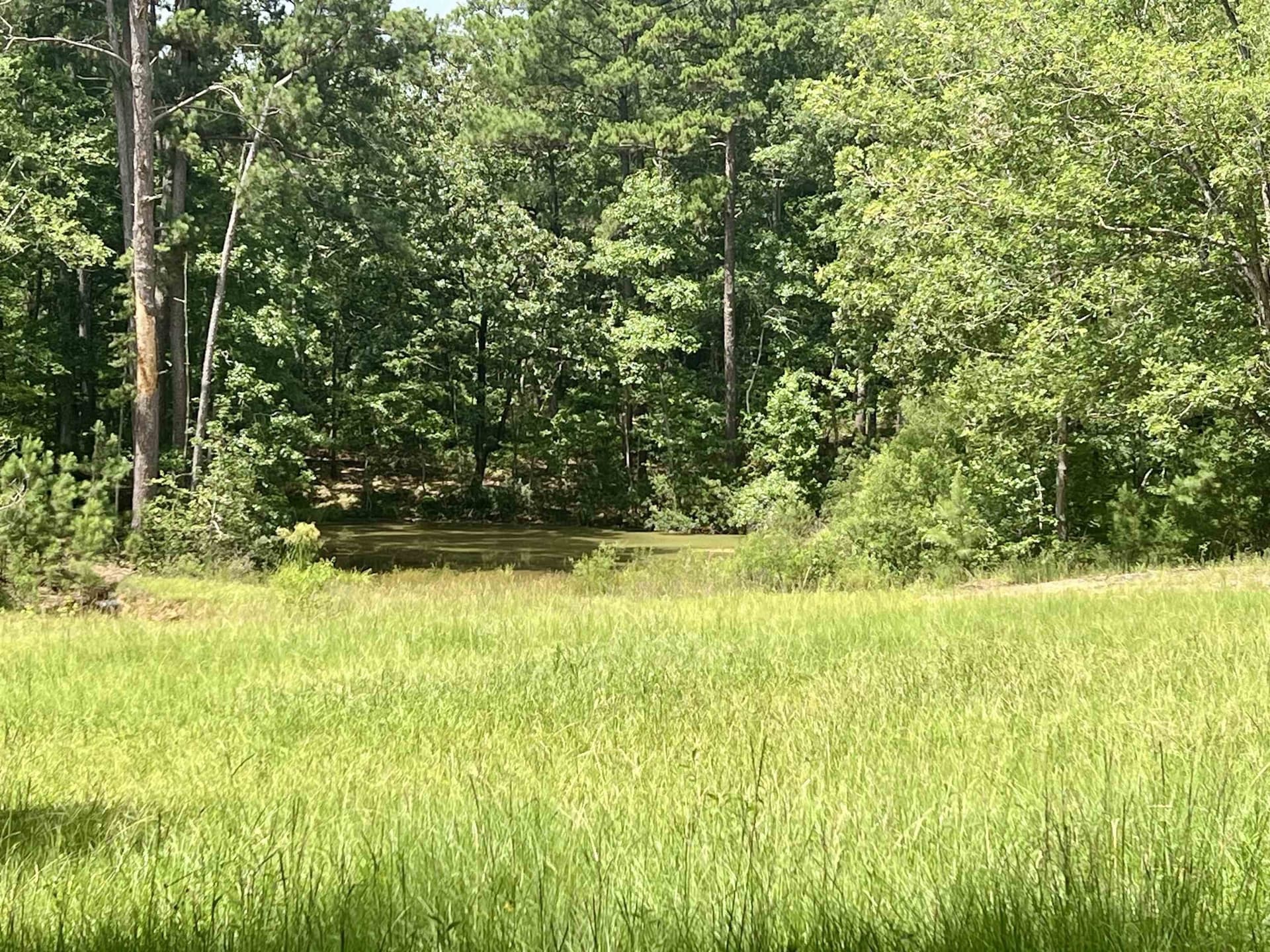 19.6 acres in Rusk County - photo 24
