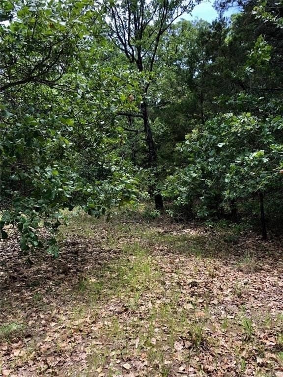 1.02 acres in Freestone County - photo 10