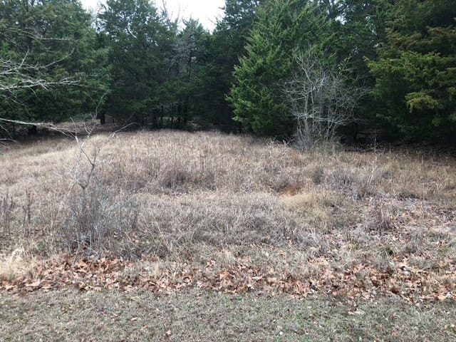 1.02 acres in Freestone County - photo 8