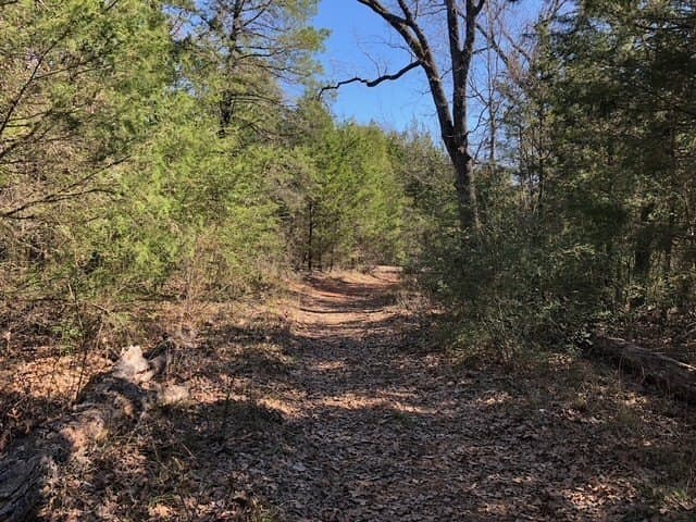 1.02 acres in Freestone County - photo 3