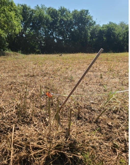 0.07 acres in Dallas County - photo 3