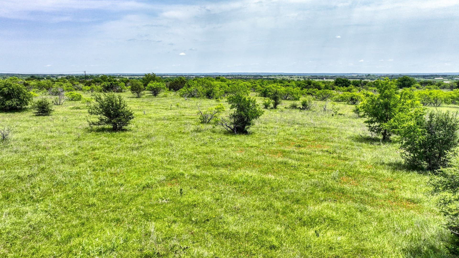 5 acres in Parker County - photo 4