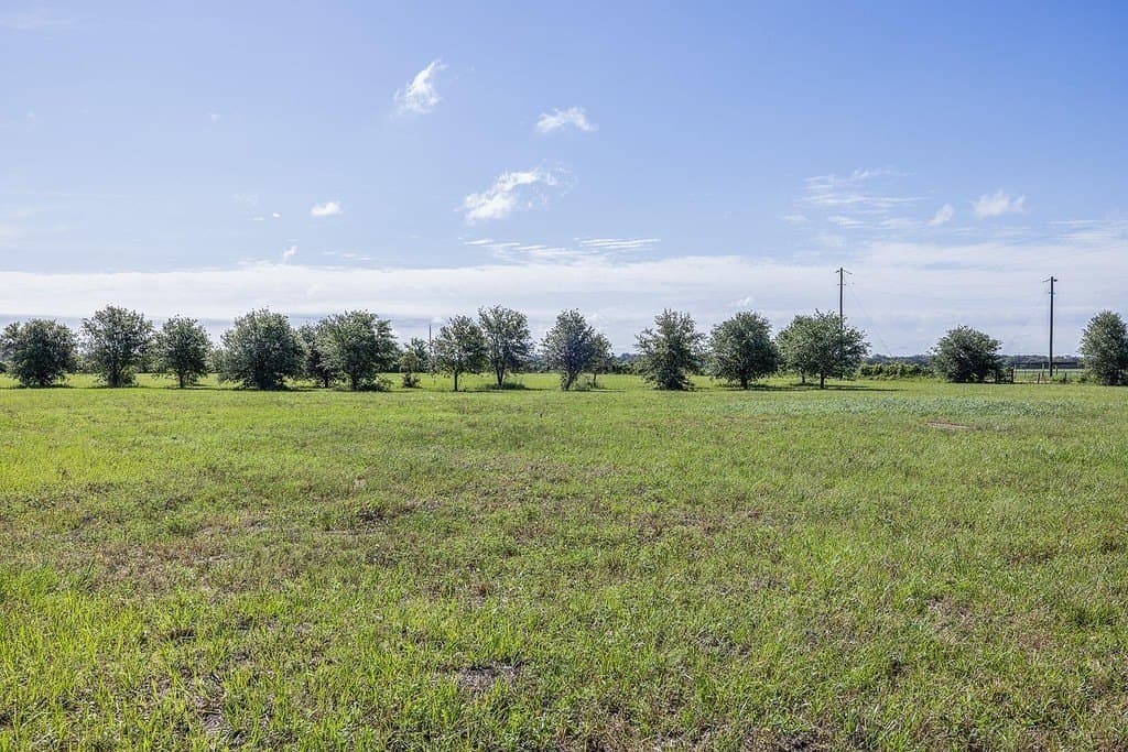 11.92 acres in Colorado County - photo 29