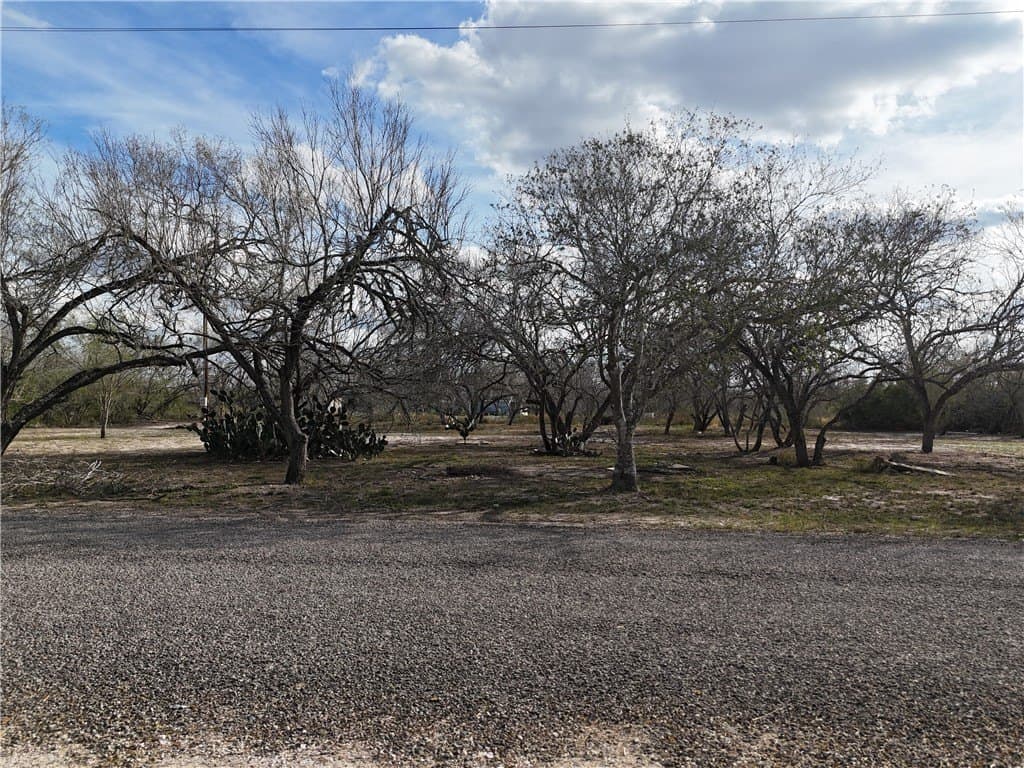 1 acres in Jim Wells County gallery image 2