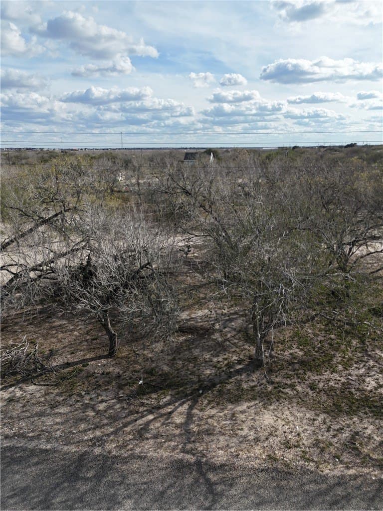 1 acres in Jim Wells County gallery image 3