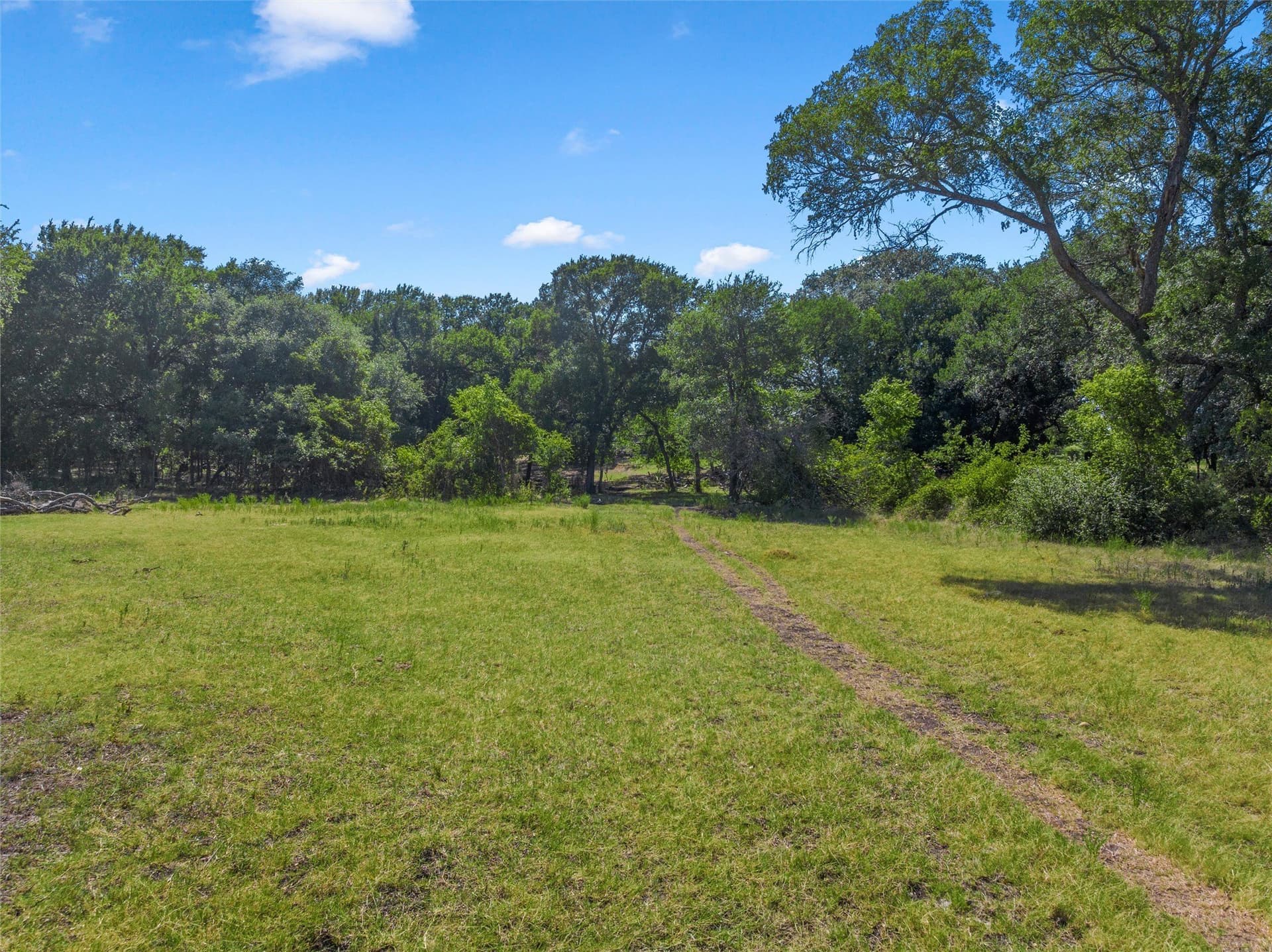 10 acres in McLennan County gallery image 4