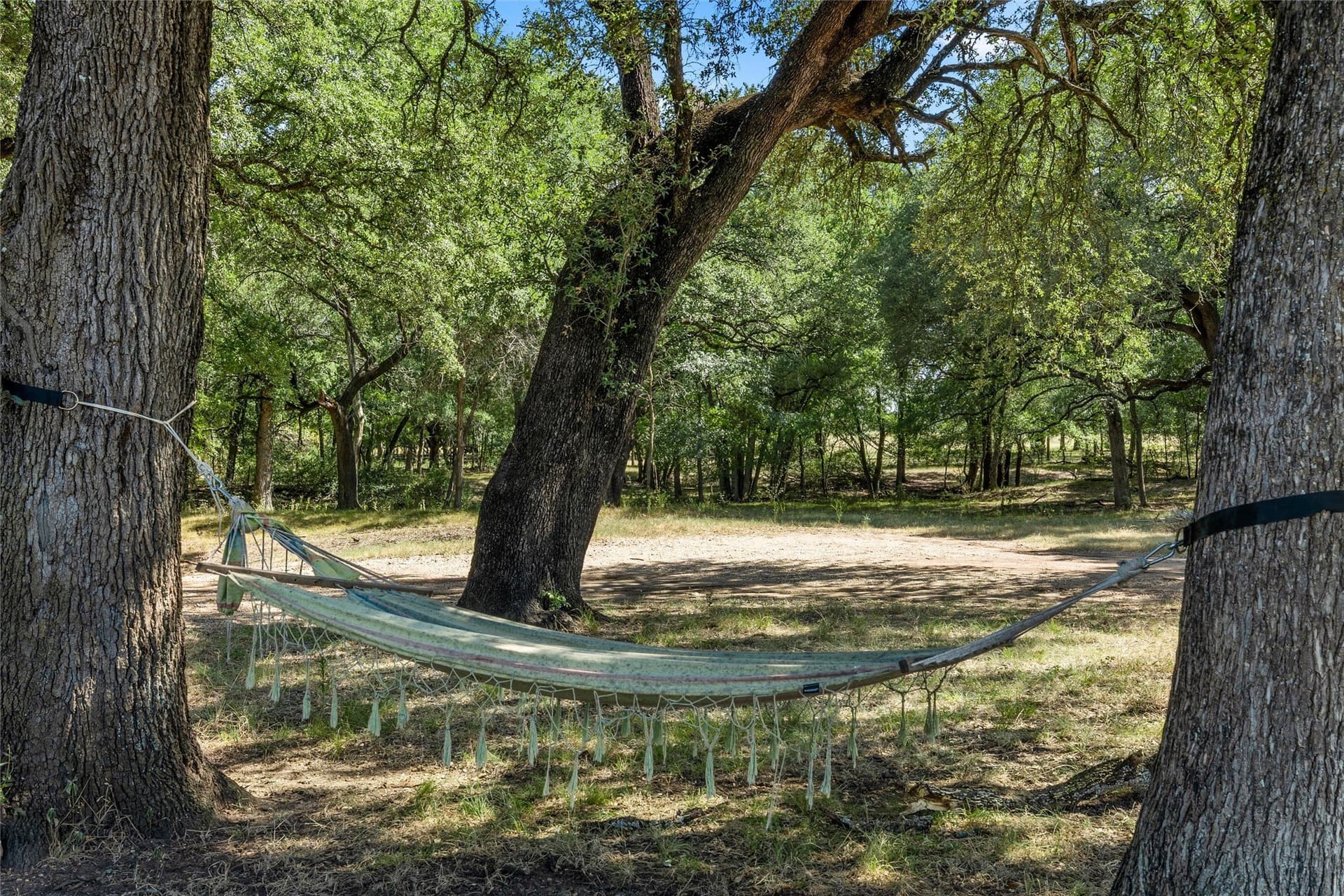 10 acres in McLennan County gallery image 3