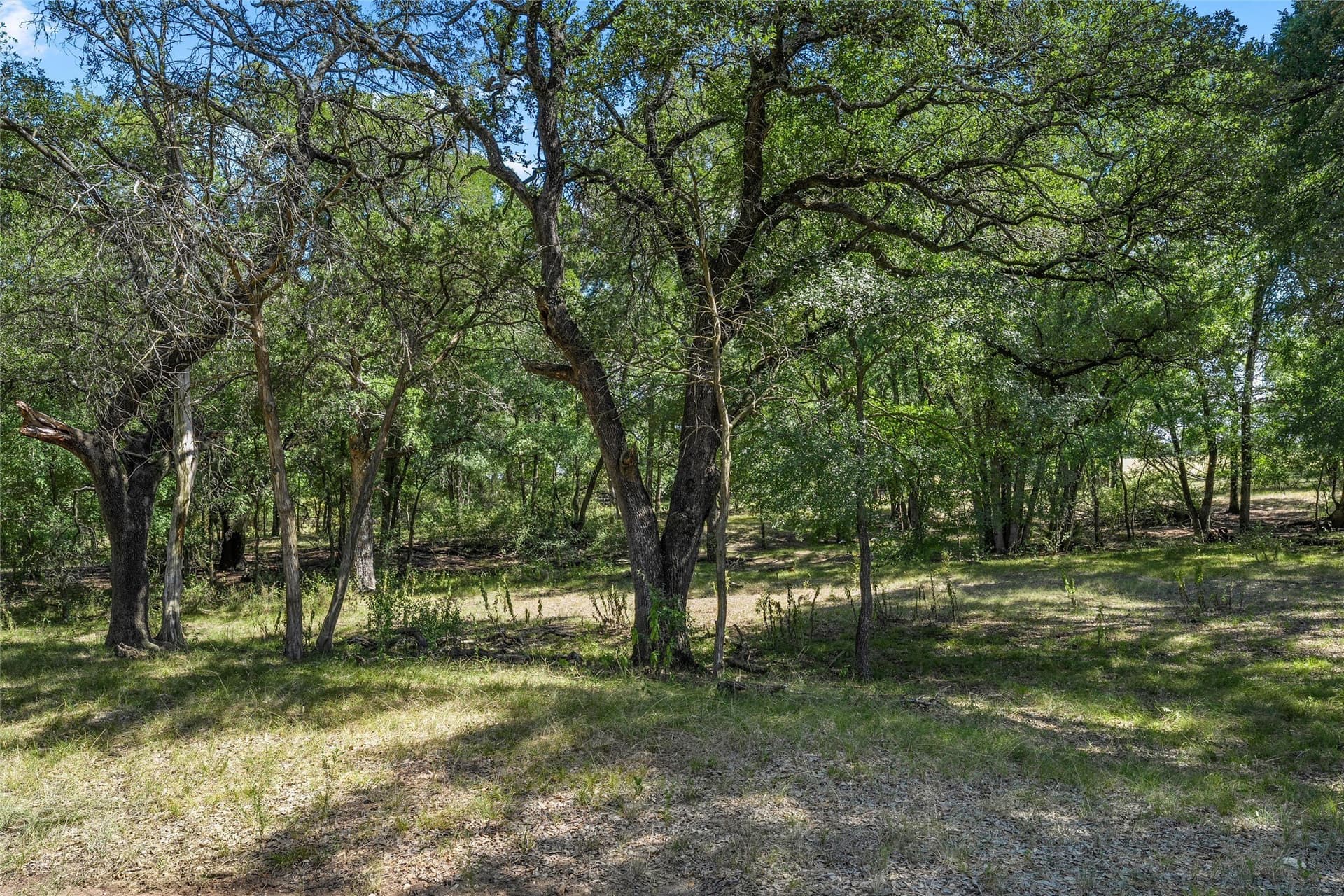 10 acres in McLennan County - photo 33