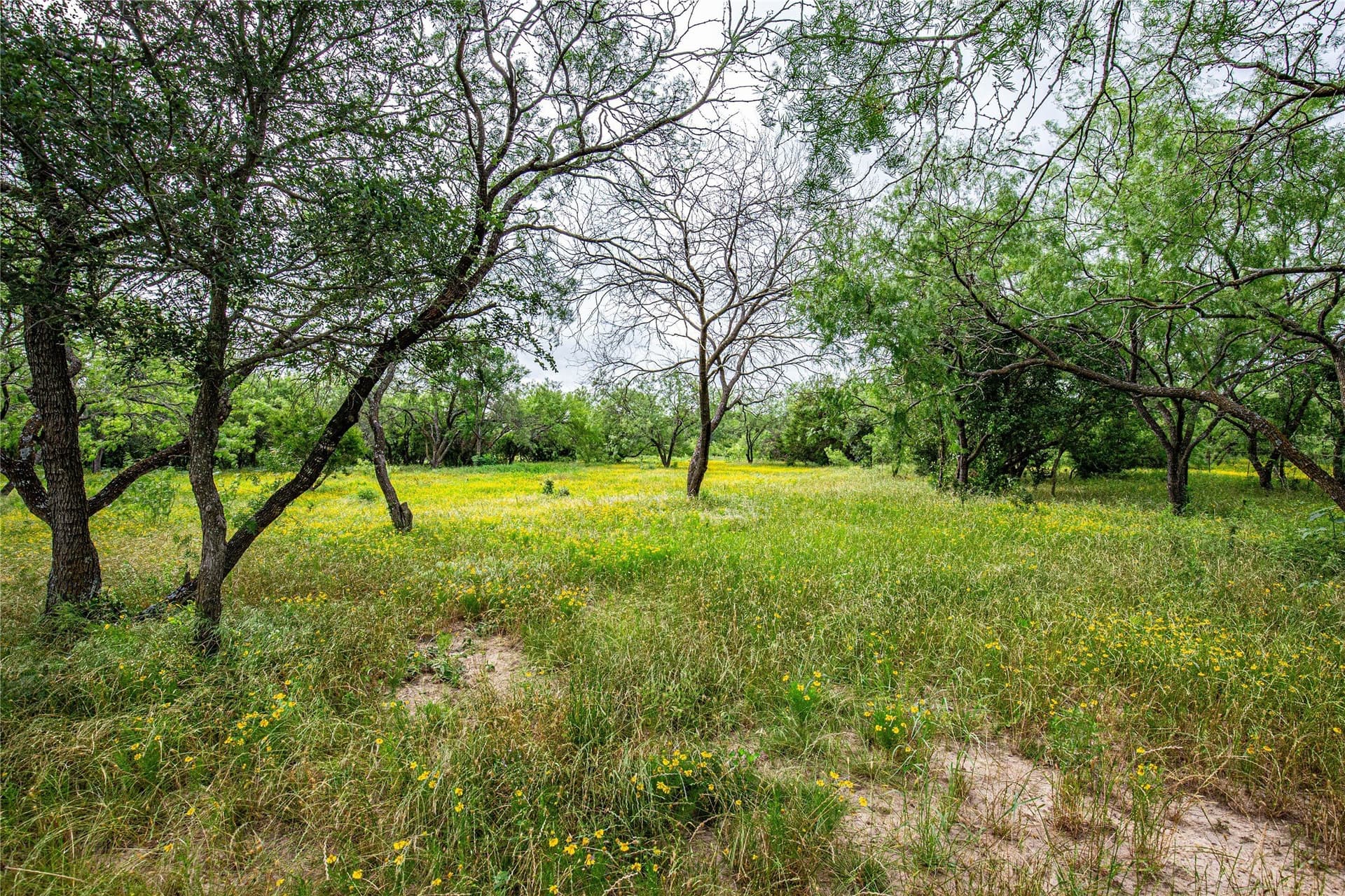 15 acres in McLennan County - photo 11