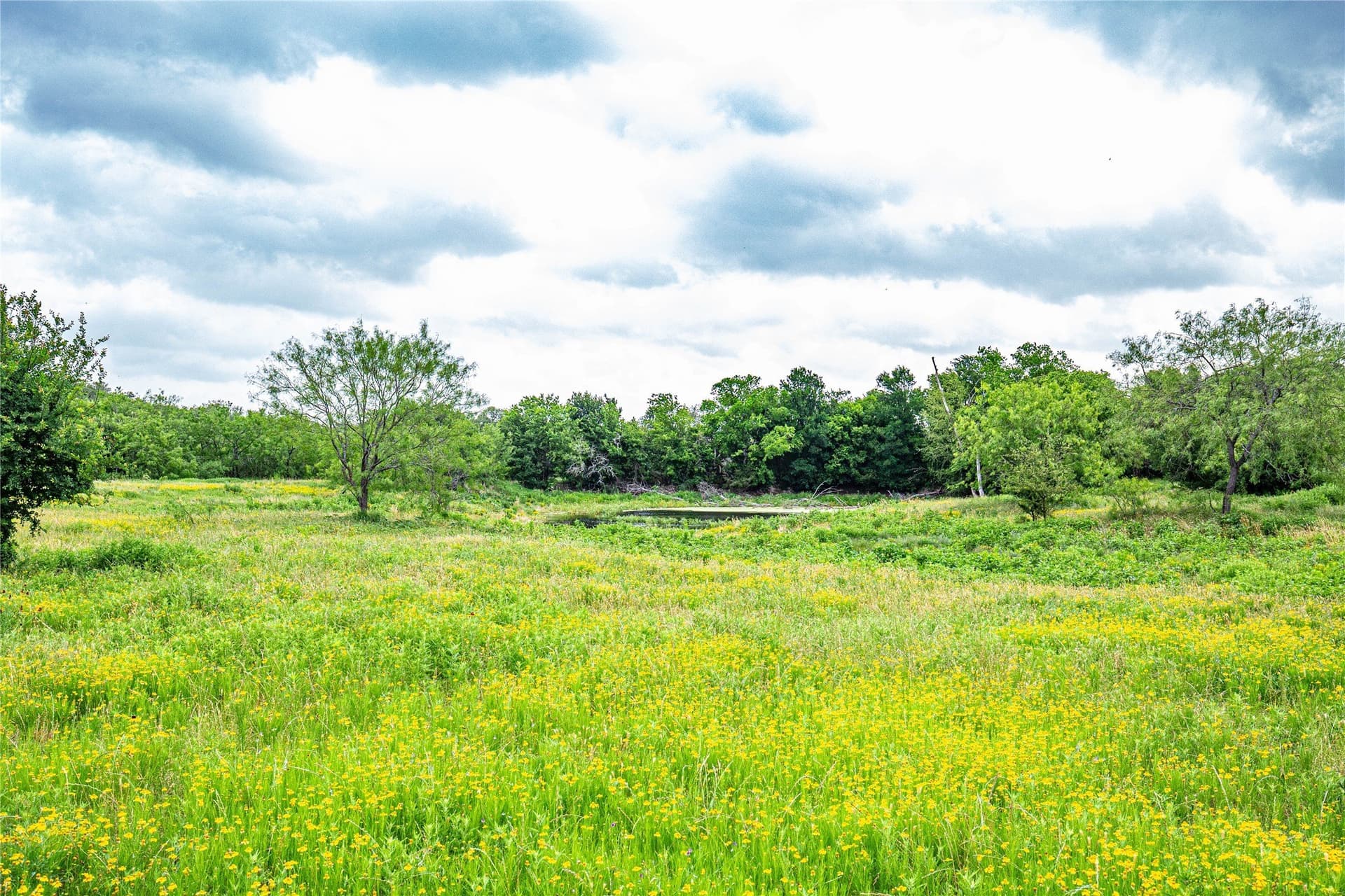 15 acres in McLennan County - photo 7