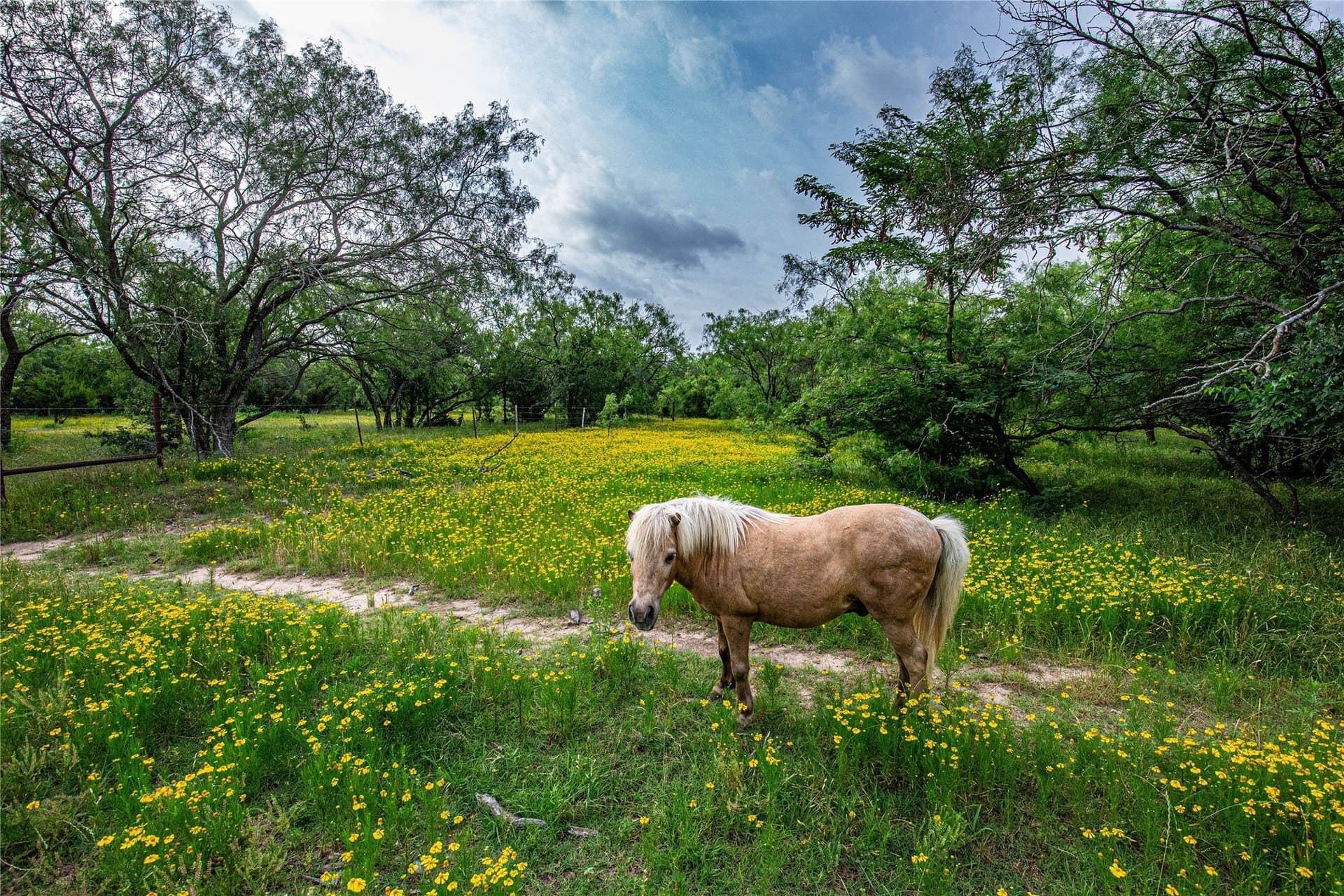 15 acres in McLennan County - photo 10
