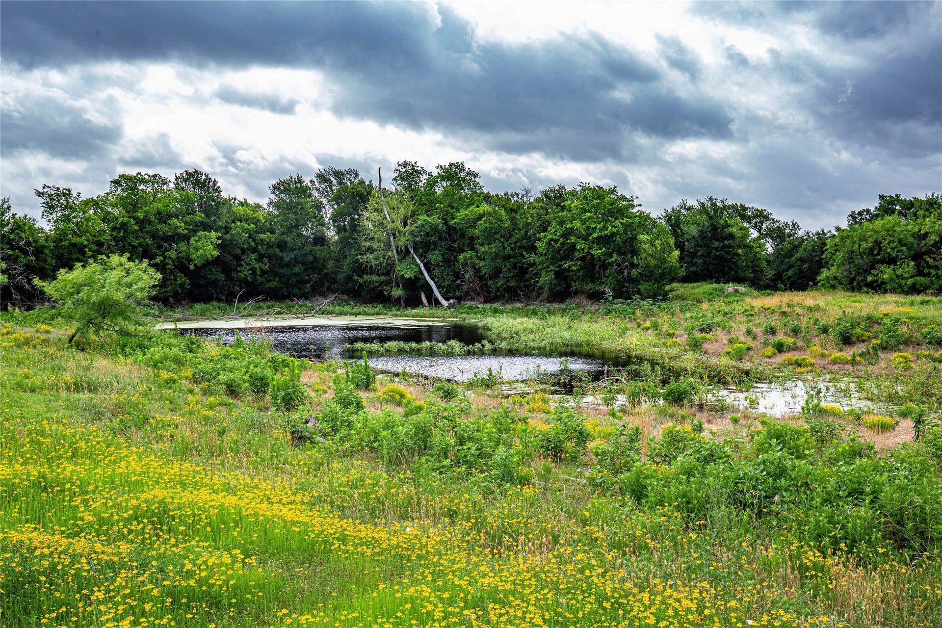 15 acres in McLennan County - photo 18