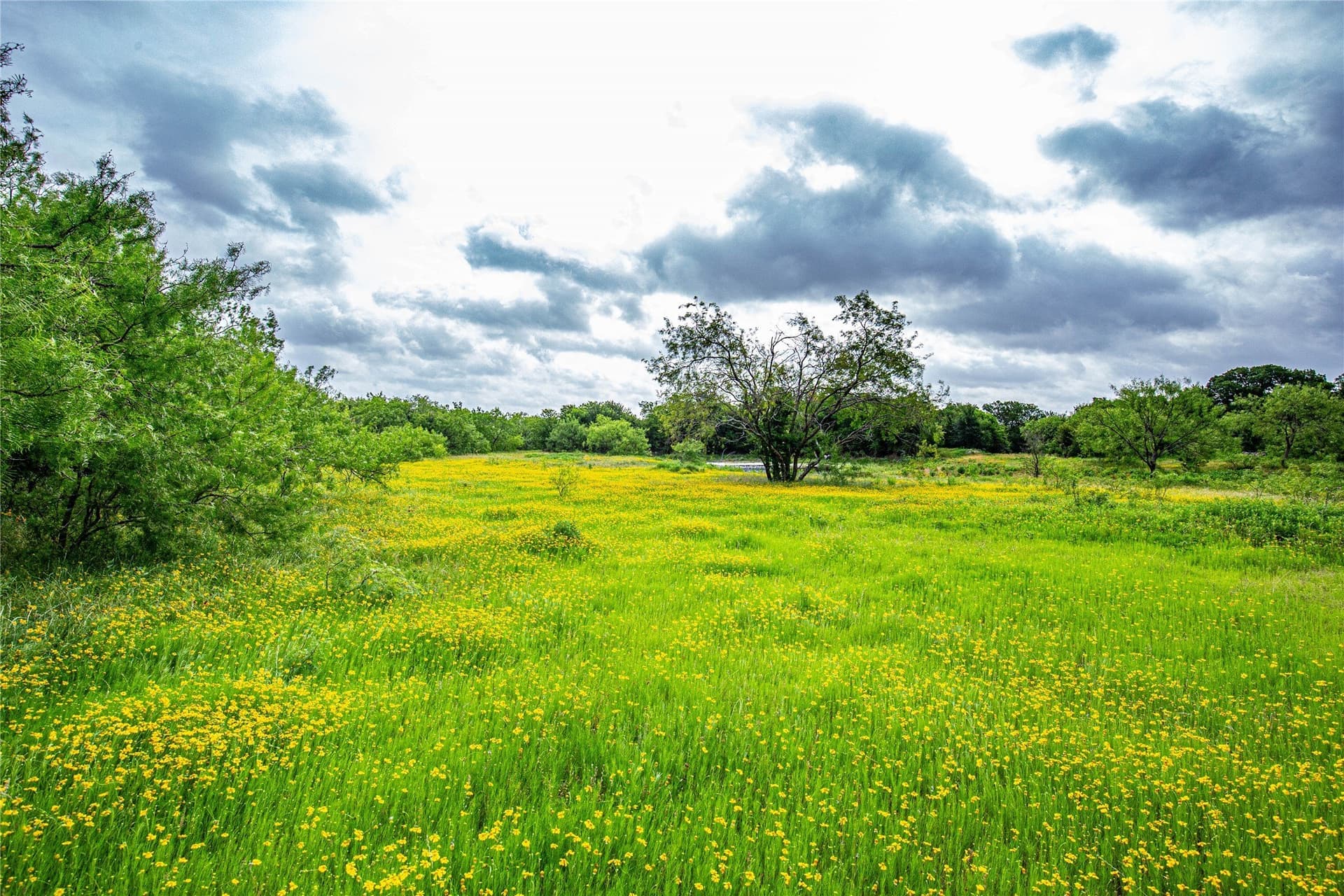 15 acres in McLennan County