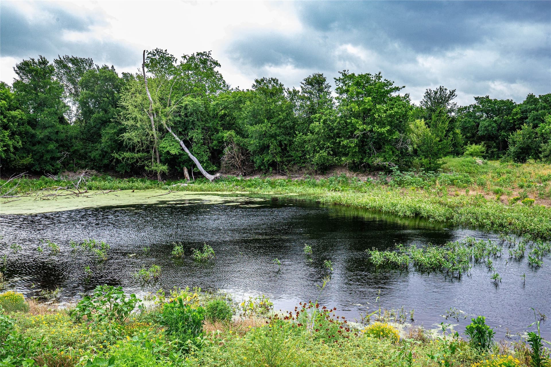15 acres in McLennan County - photo 12