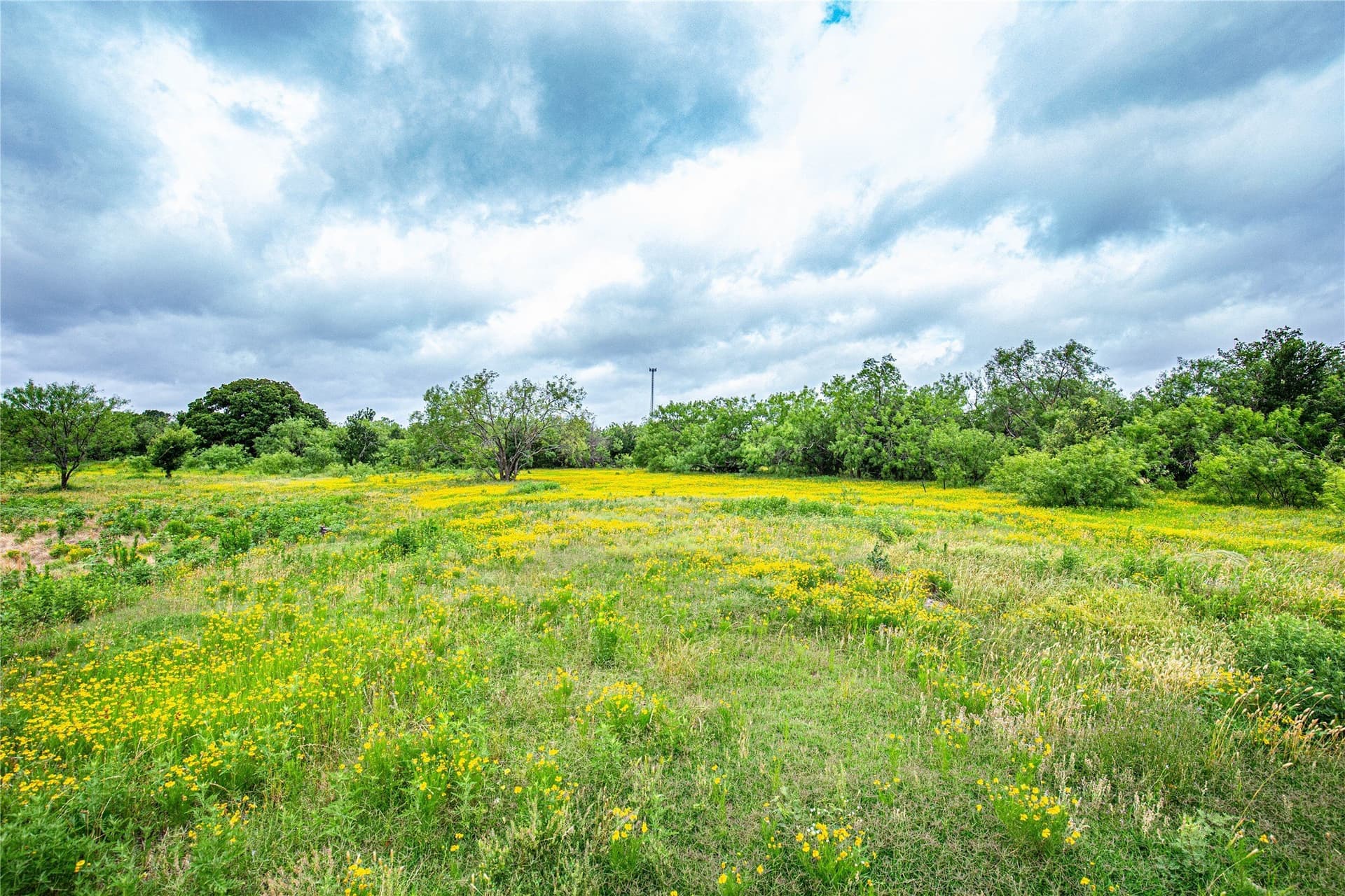 15 acres in McLennan County - photo 14
