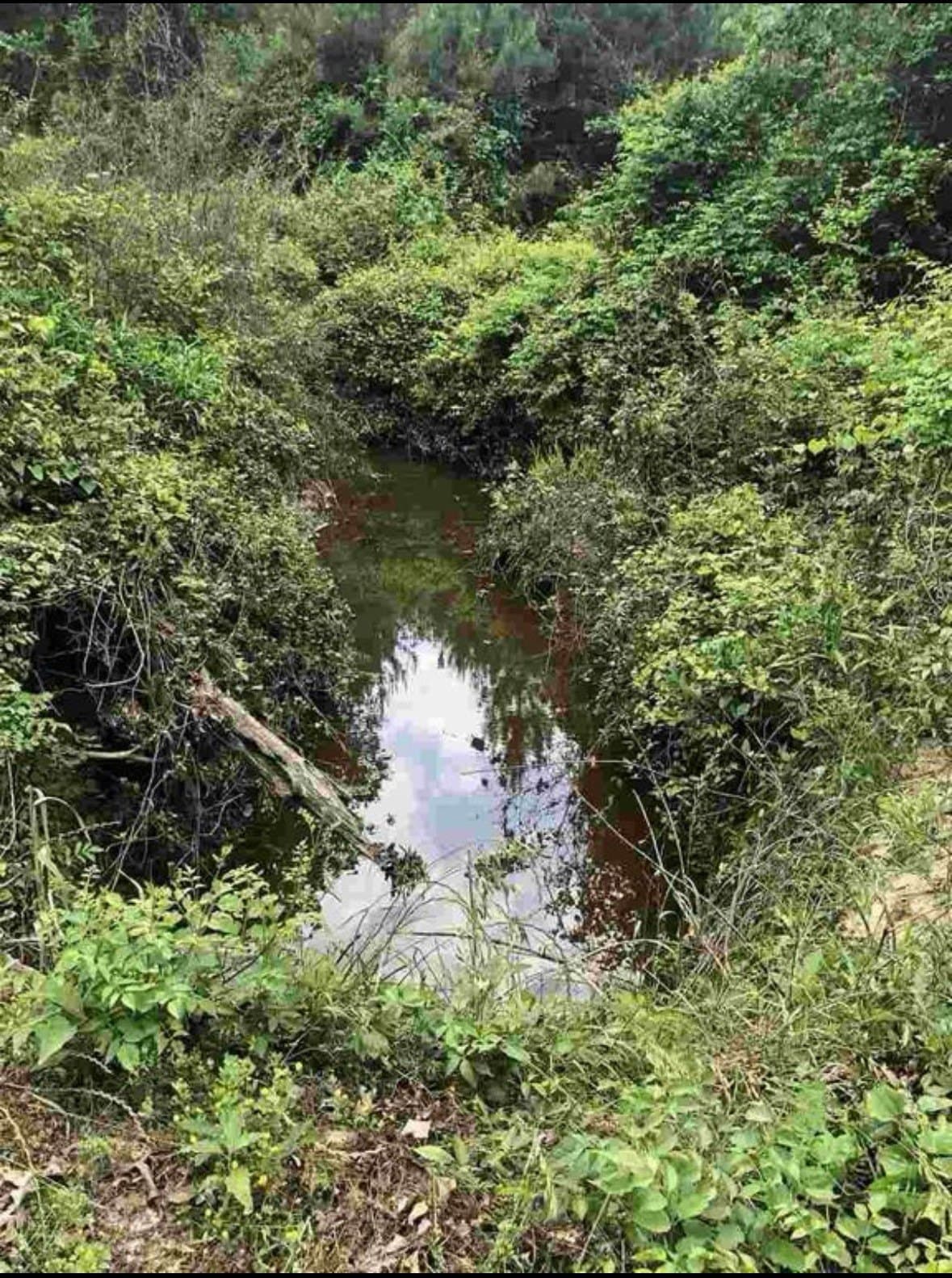 34.95 acres in Upshur County - photo 6
