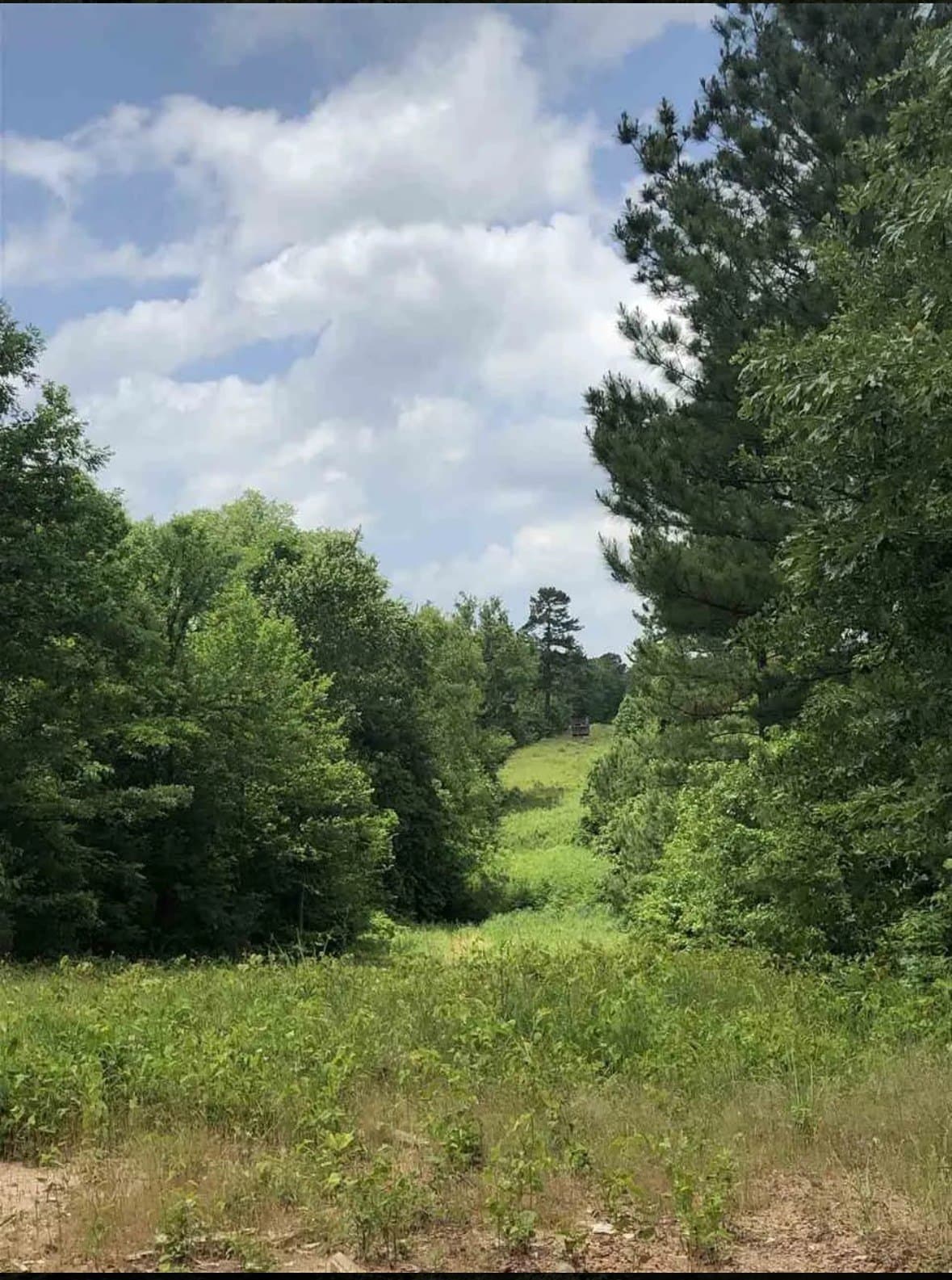 34.95 acres in Upshur County - photo 2