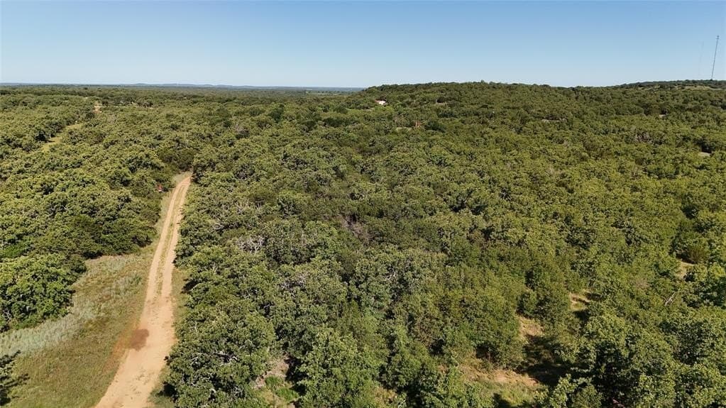 18.1 acres in Young County gallery image 3