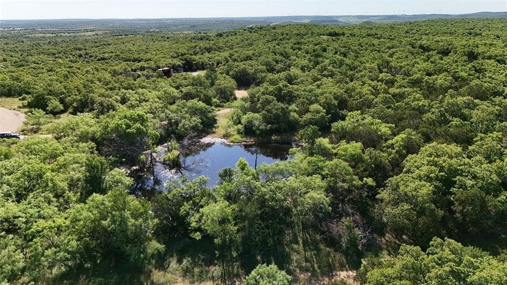 18.1 acres in Young County gallery image 4