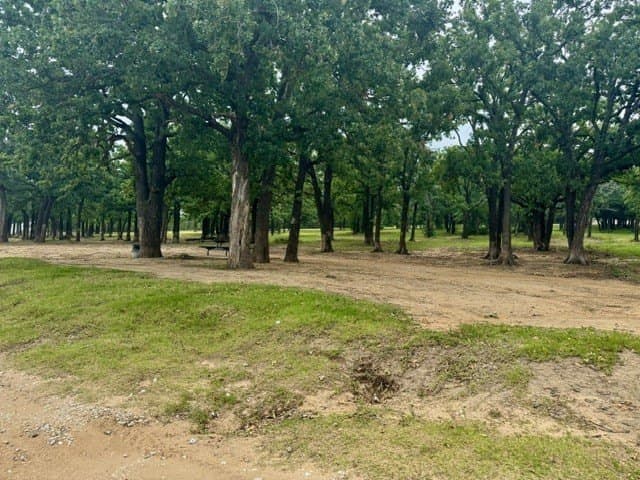 0.23 acres in Grayson County - photo 6