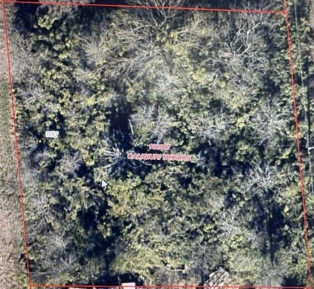 0.23 acres in Grayson County