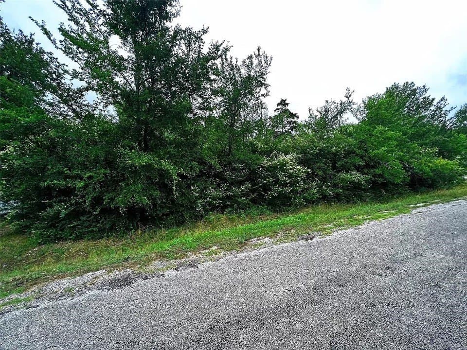 0.23 acres in Grayson County - photo 2
