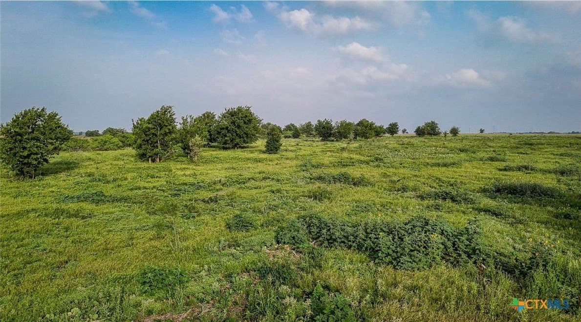 0.75 acres in Milam County gallery image 3