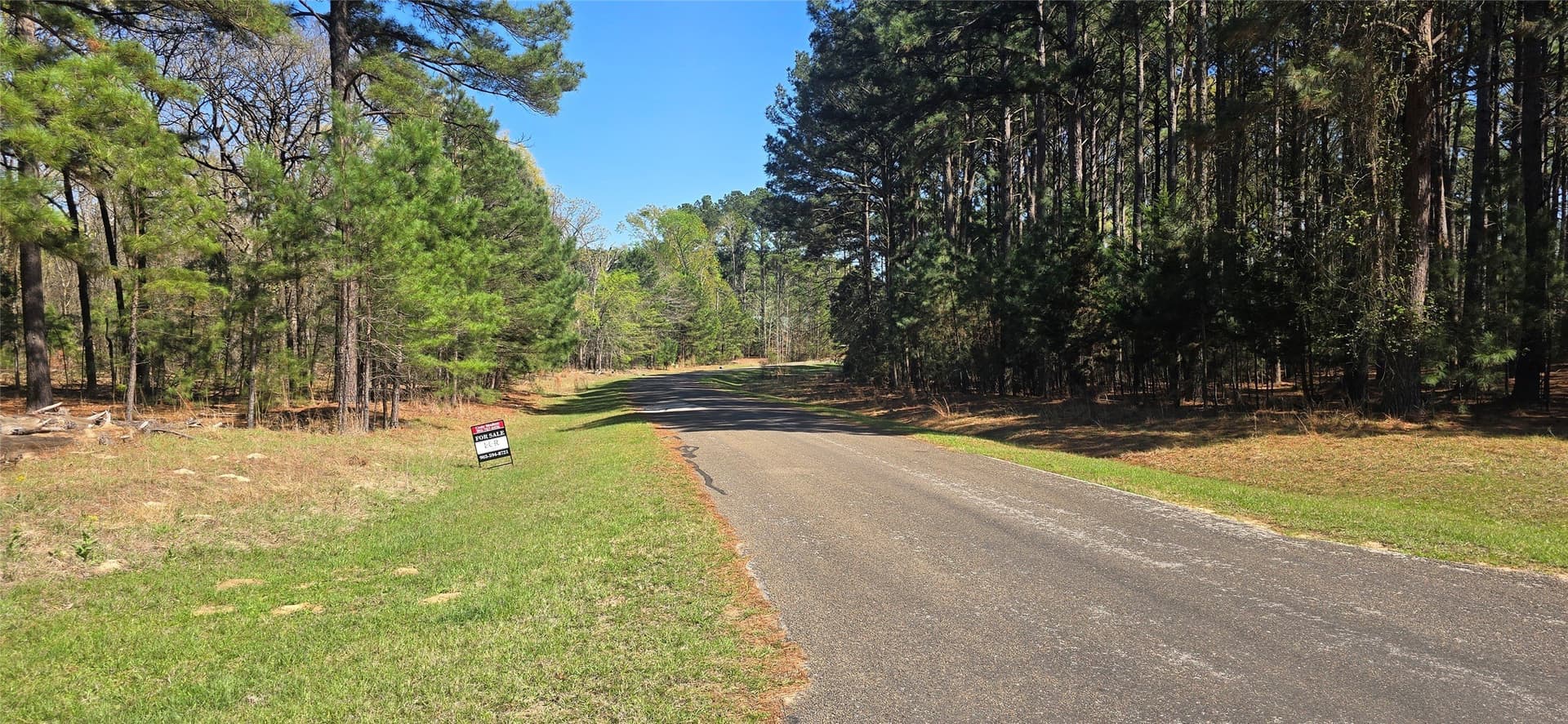 2.02 acres in Henderson County - photo 13