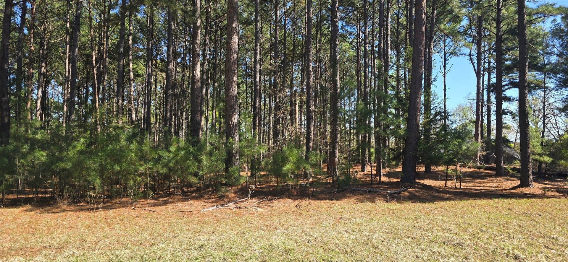 2.02 acres in Henderson County - photo 3