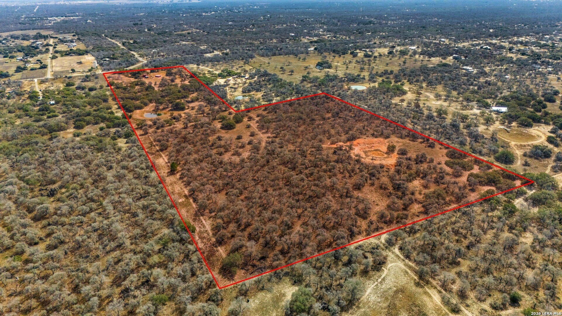 79.23 acres in Wilson County gallery image 4