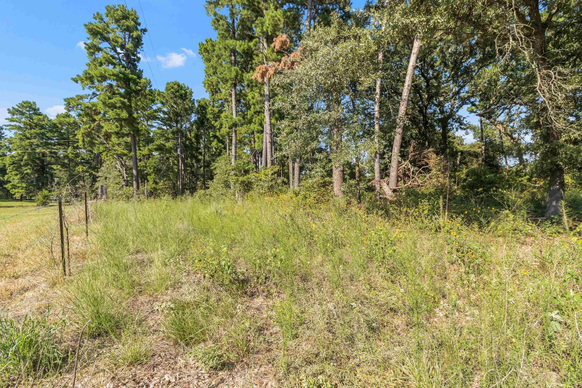 1.81 acres in Upshur County - photo 14