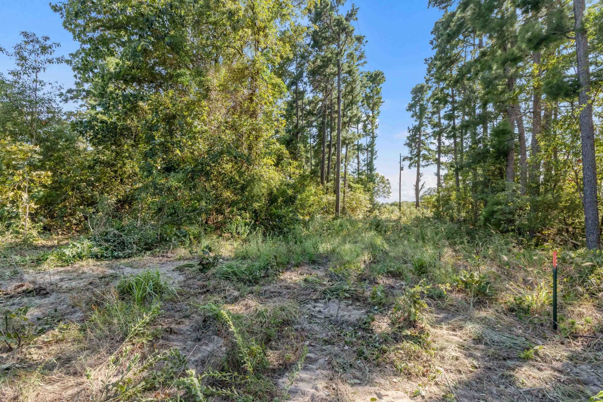 1.81 acres in Upshur County - photo 13