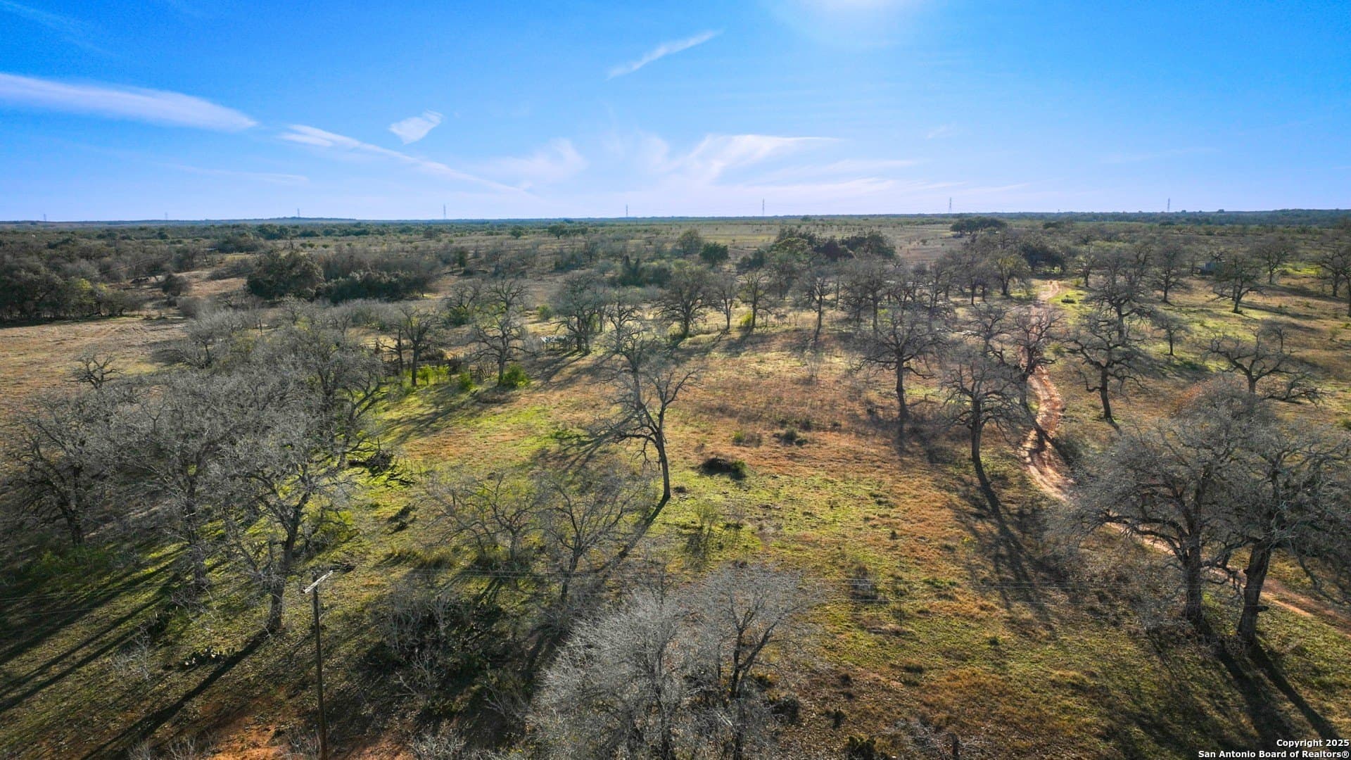 50 acres in Wilson County gallery image 4
